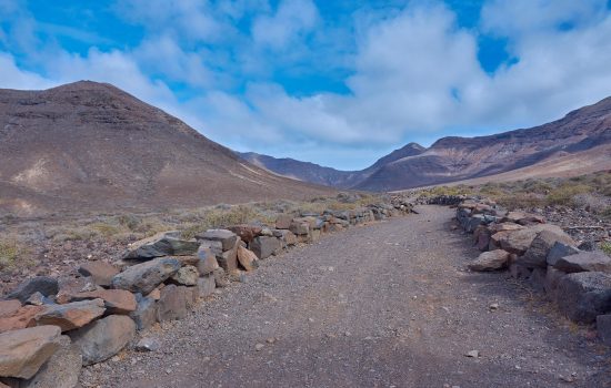 Acts: The Spirit, the Church, and the World