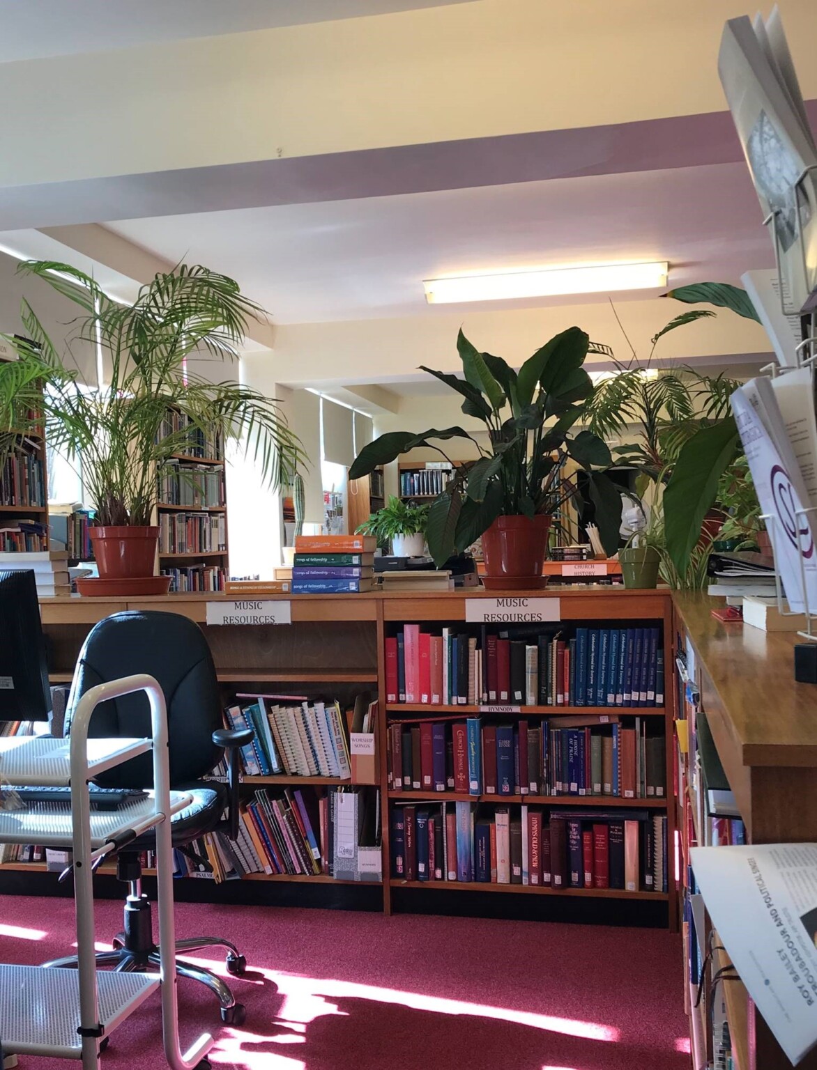 Library Book Cleaning Project Blog Sarum College