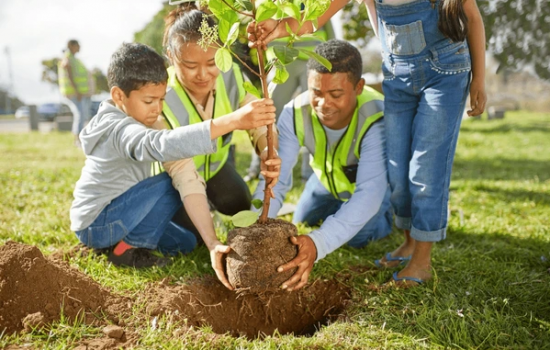 Deeper Rooted Lasting: Your Church’s Ministry to Parents and Carers