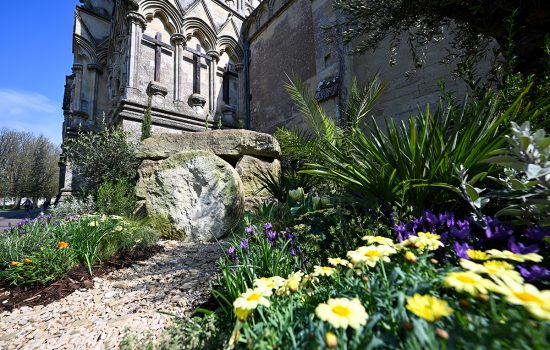 Praying the Psalms of the Passion: Quiet Time in Holy Week