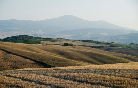 Reading Scripture Together: The Land