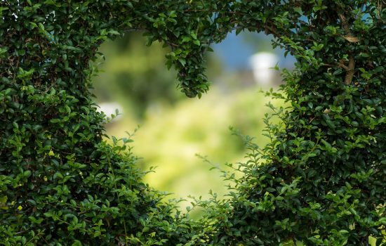 Evangelism in times of climate and nature crisis