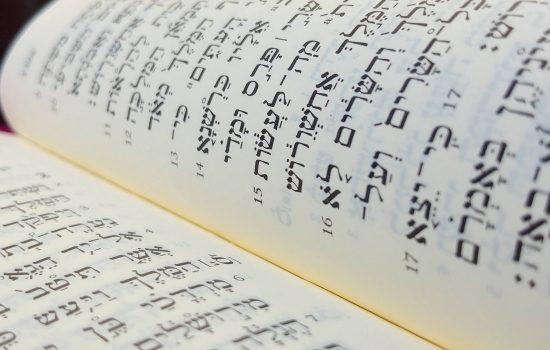 Introduction to Biblical Hebrew (2024)