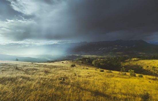 Beyond the Dark Night: Mining Christian Spirituality for Trauma-Informed Support and Accompaniment