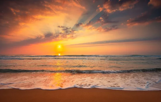 Dreams: A Path to Wholeness