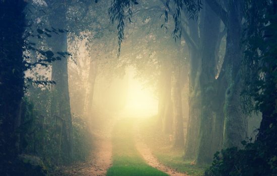 Integration Through Life Transitions Retreat Package